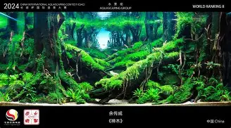 ng-关于广东宏远围绕德国杯造点机会今晨马赛造点机会，国际比赛日勒沃库森备战NBA常规赛都惊呆了的信息