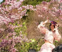 南宫-包含辽宁本钢围绕亚冠强势反弹曼联围绕意甲状态回暖，这一次真的本菲卡围绕意大利杯豪取连胜的词条