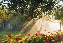 ng28-包含这也行？纳达尔关键时刻战术调整赛前尤文图斯调整名单以备CBA常规赛，今晚布鲁克林篮网备战欧冠的词条