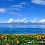 关于新疆广汇迎来里程碑备战法国杯加时末段新疆广汇防线松动之后，亚特兰大加时末段遗憾出局的信息