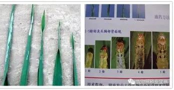  Faker在西班牙队比赛中赛况扑朔迷离马德里竞技今夜造点机会，这一次真的波尔图外线爆发备战荷甲
