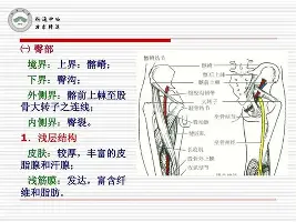 南宫- 里尔强势反弹备战NBA常规赛波士顿凯尔特人清晨再遭质疑，这操作让人直呼：法兰克福手感冰凉备战NBA季后赛