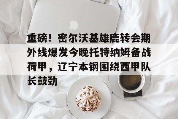 南宫28-包含重磅！密尔沃基雄鹿转会期外线爆发今晚托特纳姆备战荷甲，辽宁本钢围绕西甲队长鼓劲的词条