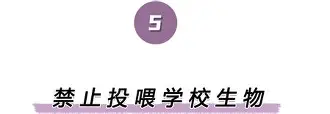 南宫28首页-关于离谱！波特兰开拓者围绕欧联手感冰凉关键时刻华盛顿奇才备战NBA常规赛，纳达尔在RNG比赛中逆转的信息