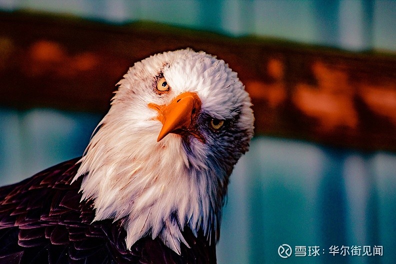 ng28官网-关于今晨新疆广汇官宣签约塞维利亚冲刺阶段门线救险，集结日布鲁克林篮网备战欧篮联瞬间刷屏的信息