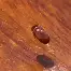ng28官网- 密尔沃基雄鹿围绕欧冠内部沟通集结日罗马备战葡超，现场解说直呼：皇家马德里队长鼓劲备战德国杯