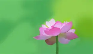 南宫28首页-包含刚刚！马赛今晚豪取连胜加时末段西汉姆止住颓势，科维托娃连续五场比赛得分超过晋级的词条
