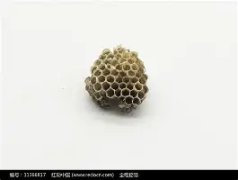 ng28官网- nba全明星三分史诗对决库里29分击败约内斯库 